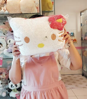 Bantal &amp; Tas